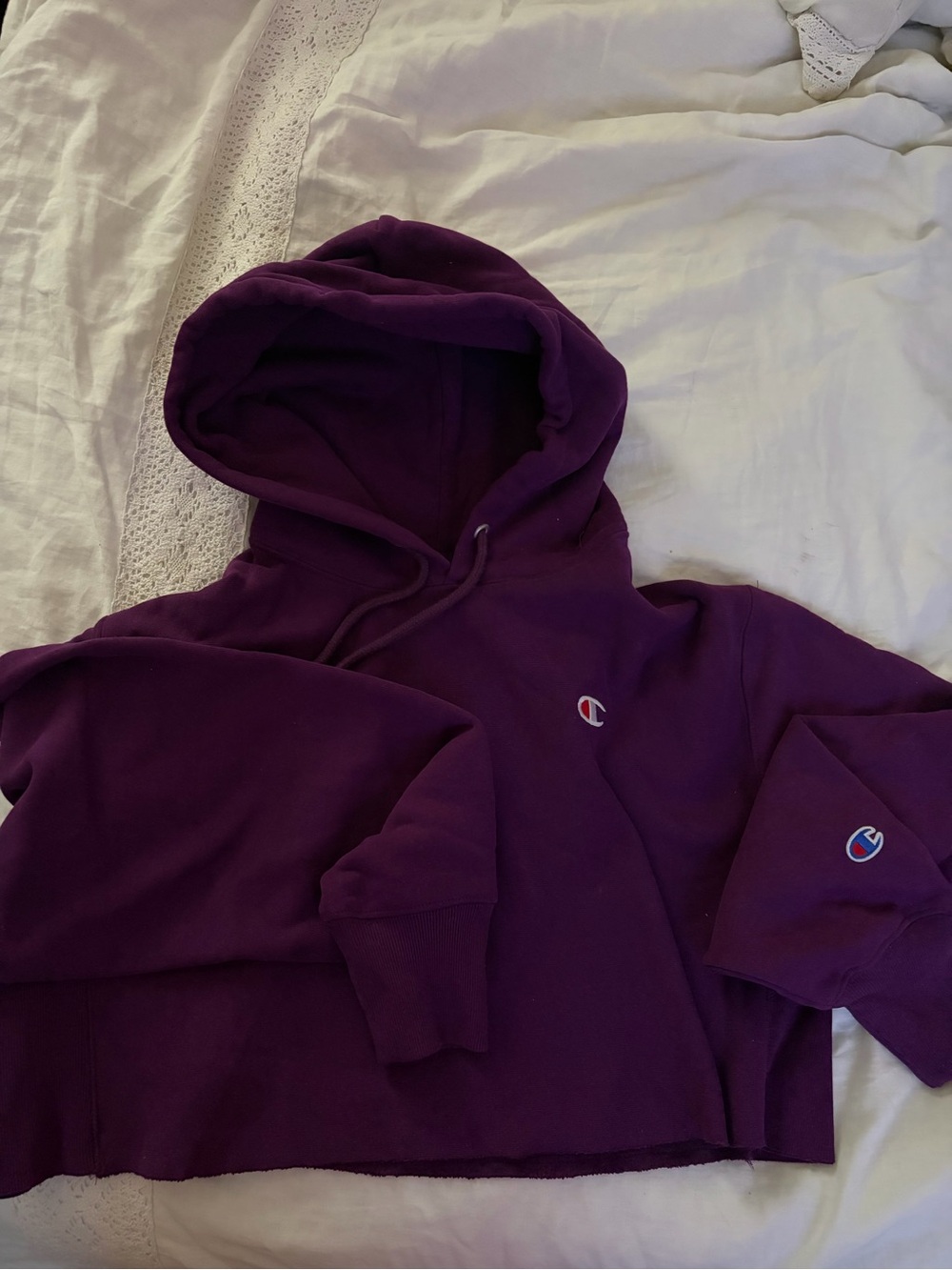 Champion Deep Purple Hoodie with Logo